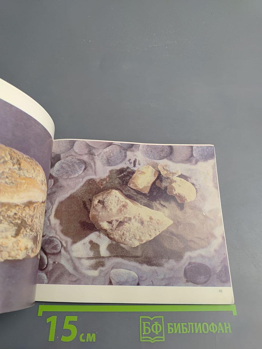 Палангский музей янтаря