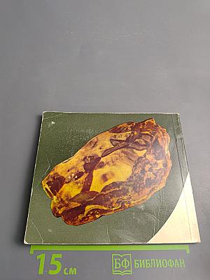 Палангский музей янтаря