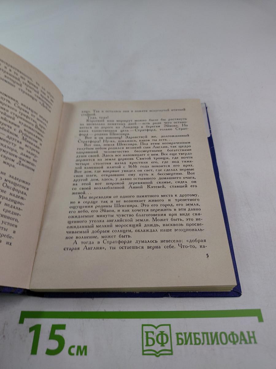 В поисках прекрасного