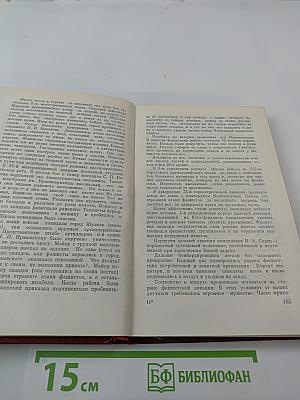 Так начиналась война