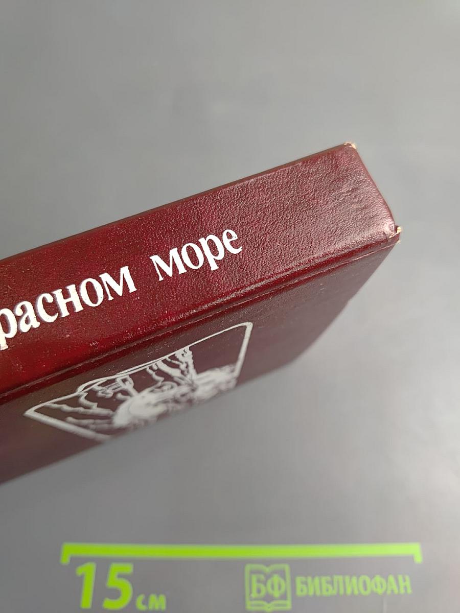 Приключения в Красном море. Книга 1