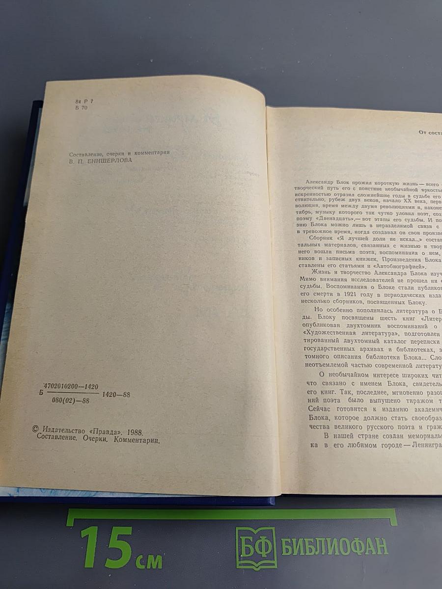 Я лучшей доли не искал... Судьба Александра Блока в письмах, дневниках, воспоминаниях