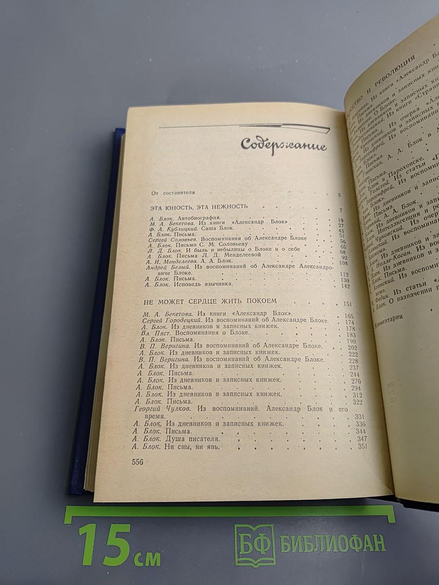 Я лучшей доли не искал... Судьба Александра Блока в письмах, дневниках, воспоминаниях
