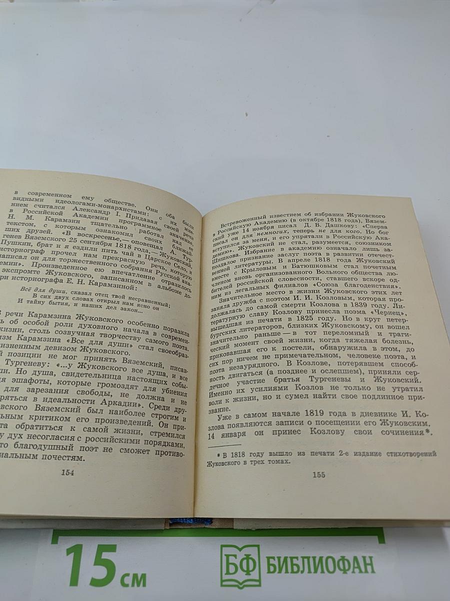 Жуковский в Петербурге