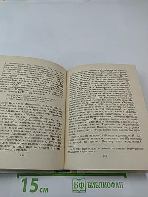 Жуковский в Петербурге