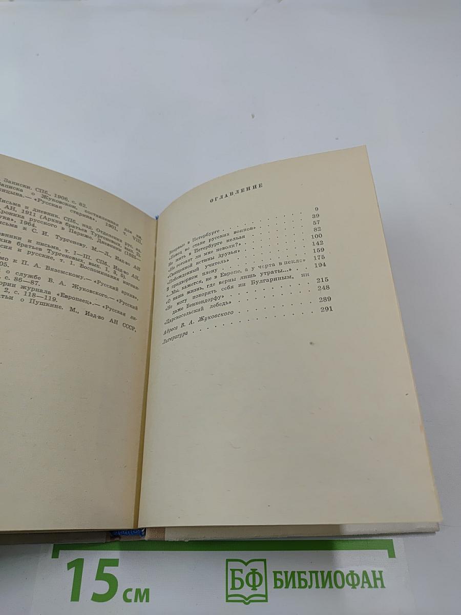 Жуковский в Петербурге