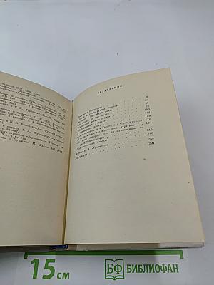 Жуковский в Петербурге