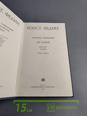 Костер. Книга первая. Вторжение