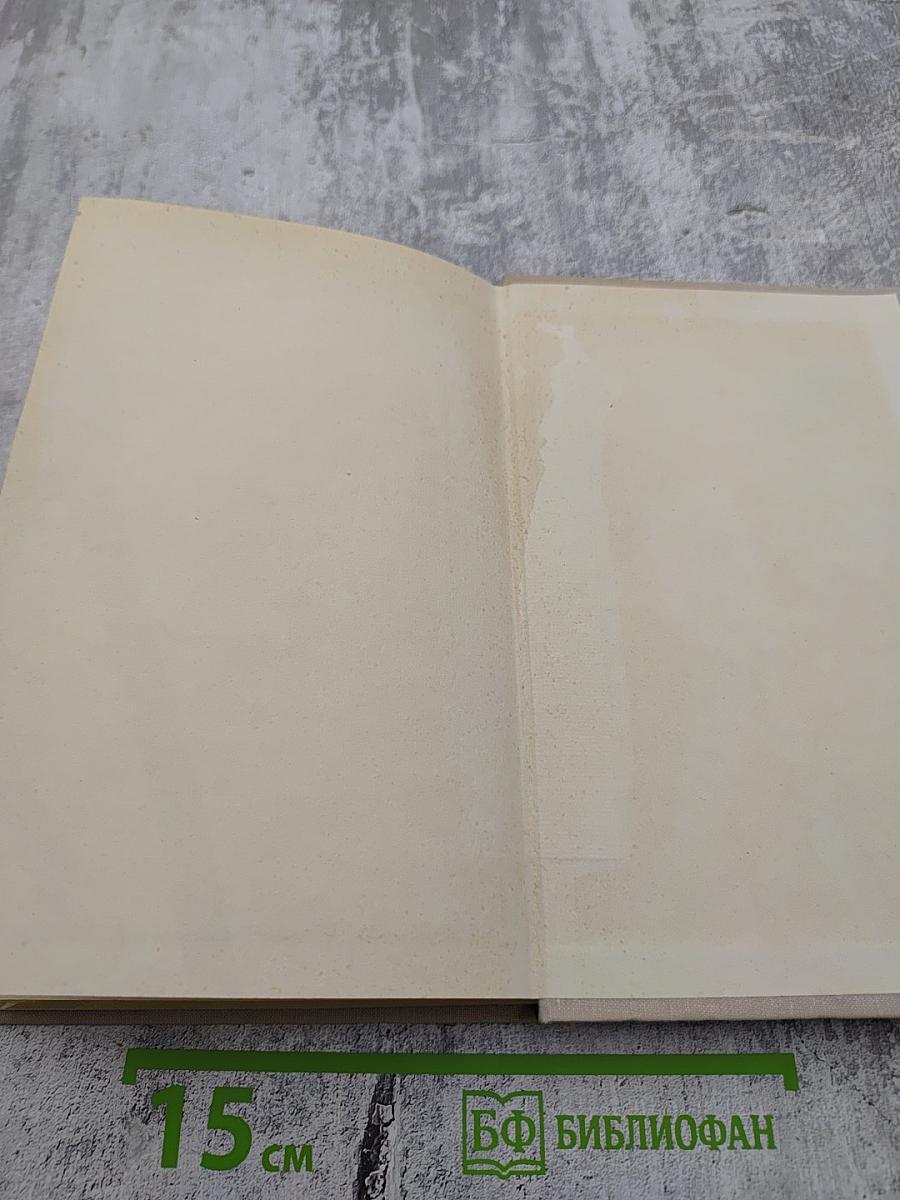 Введение в минимакс