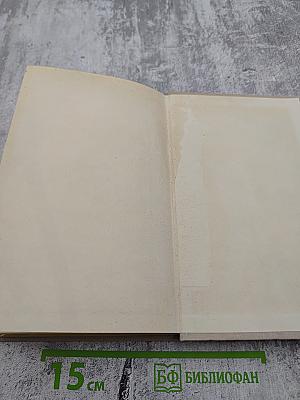 Введение в минимакс