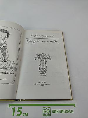 Там, за далью непогоды...