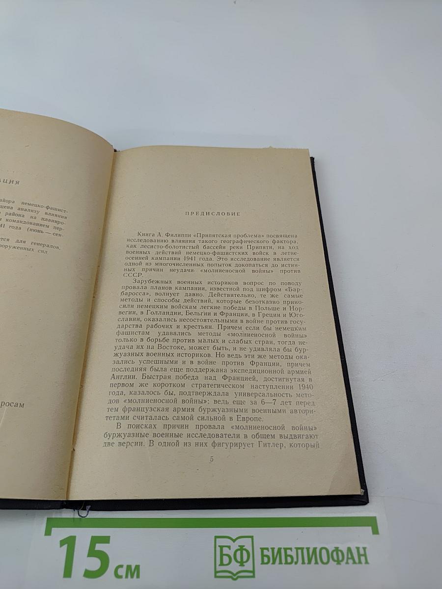 Припятская проблема