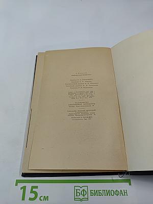 Припятская проблема