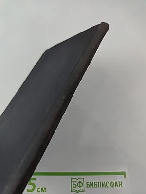 Припятская проблема