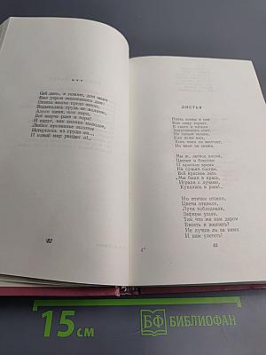 Стихотворения. Письма