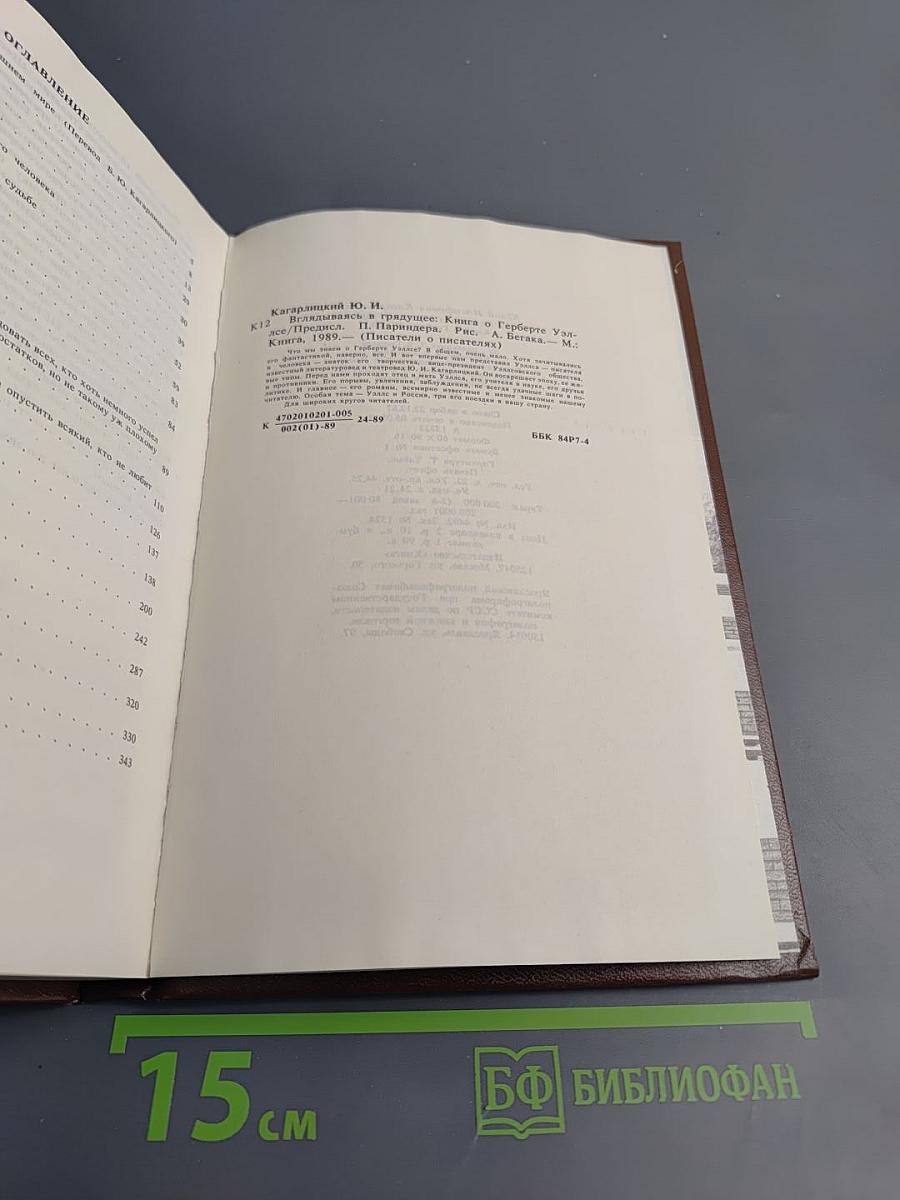 Вглядываясь в грядущее