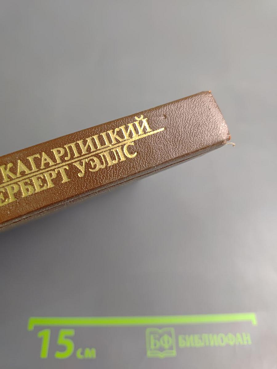 Вглядываясь в грядущее