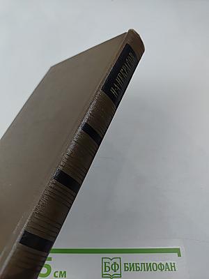 Собрание сочинений. Том второй. Стихотворения и поэмы. 1861-1877