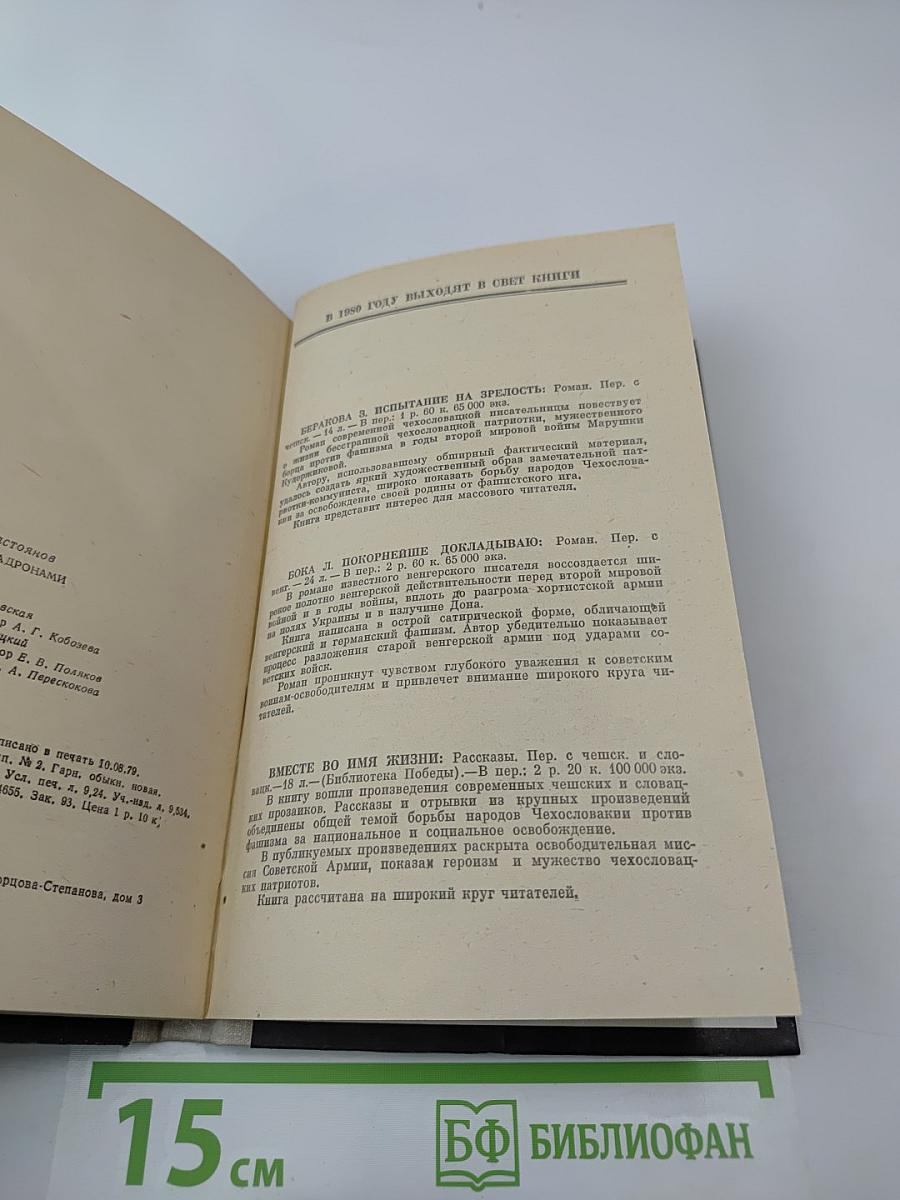 С Красными эскадронами