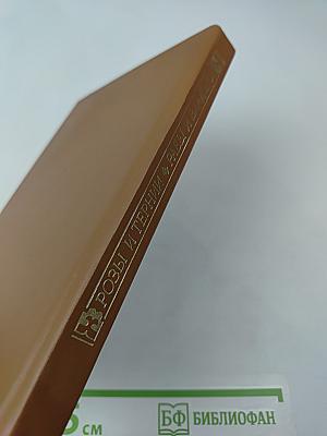 Розы и тернии. Рабы и владыки