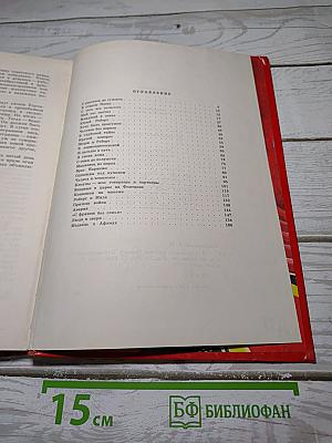 Я-инспектор Манежа