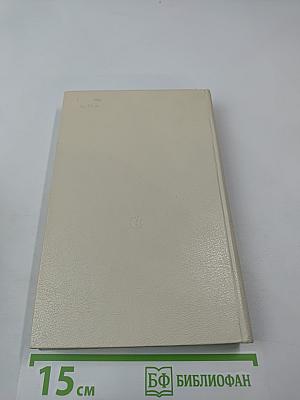 День поэзии 1981