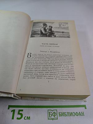 Беглые в Новороссии. Воля. Княжна Тараканова