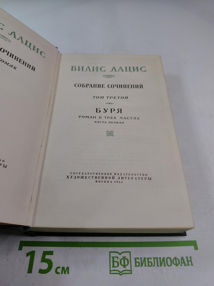 Буря. Роман в трех частях. Часть первая. Том третий
