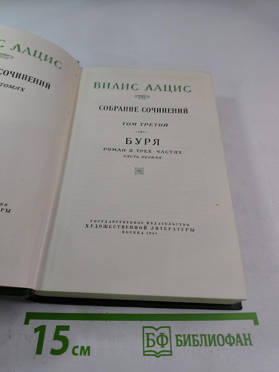 Буря. Роман в трех частях. Часть первая. Том третий