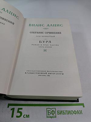 Буря. Часть вторая. Том четвертый