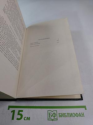 Буря. Часть вторая. Том четвертый