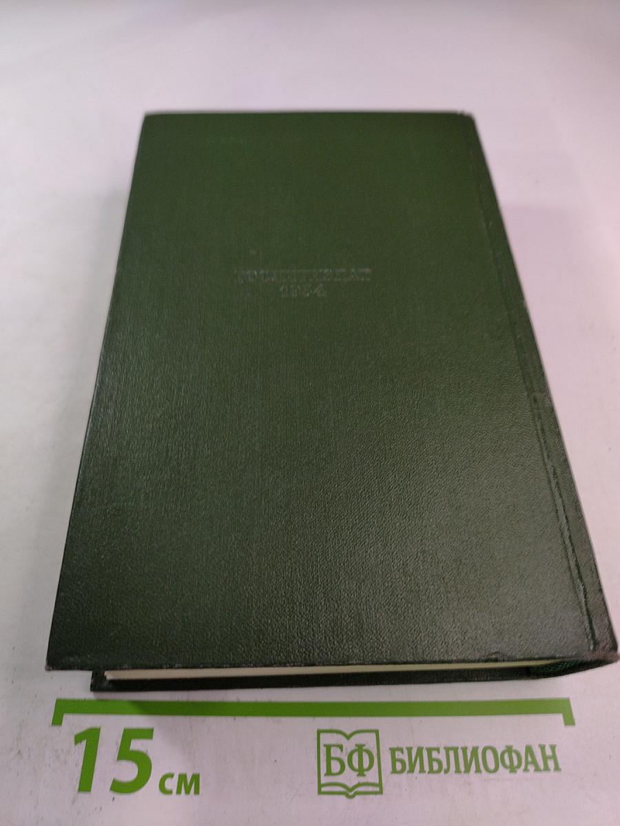 Буря. Часть вторая. Том четвертый