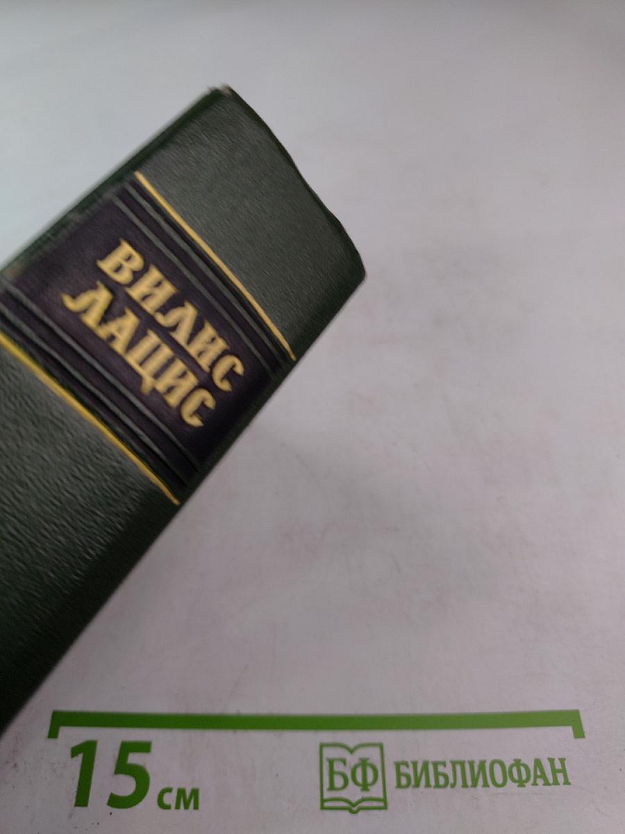 Буря. Часть вторая. Том четвертый