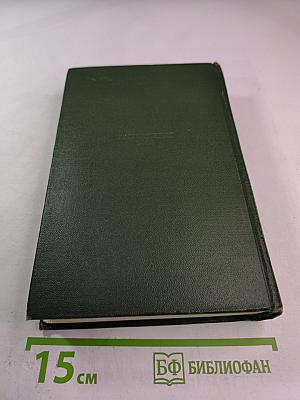 К Новому берегу