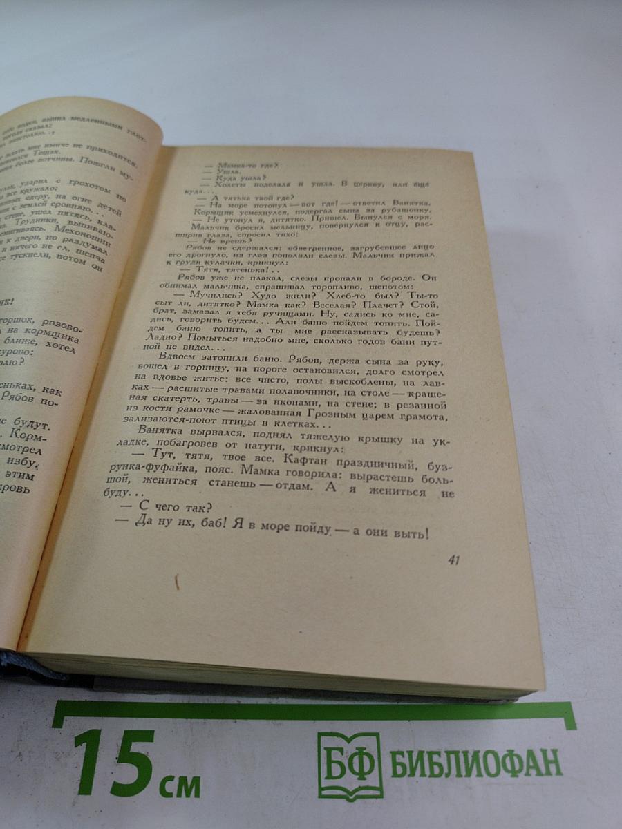 Россия молодая. Книга 2