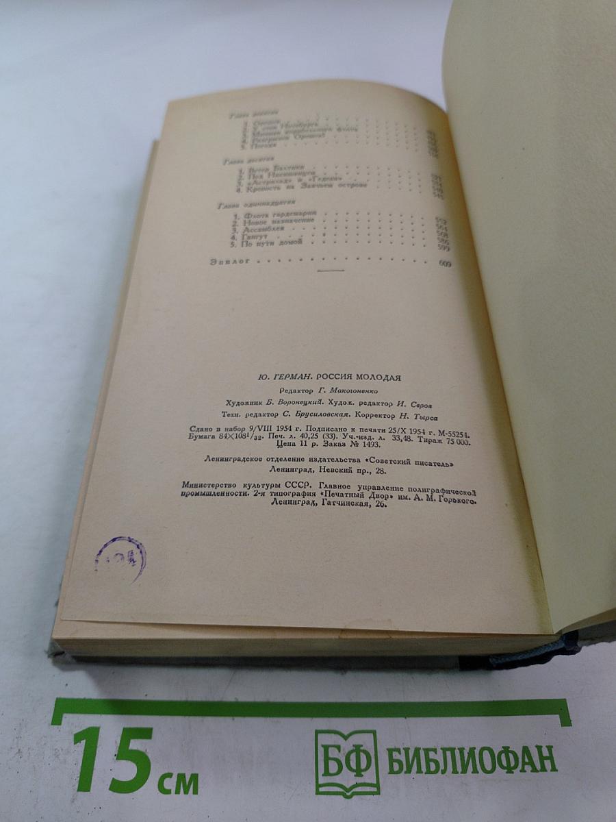 Россия молодая. Книга 2