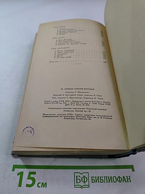 Россия молодая. Книга 2