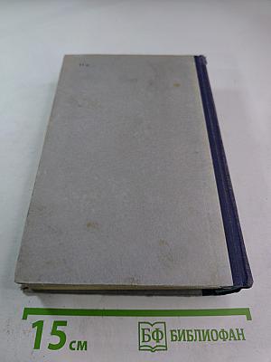 Россия молодая. Книга 2