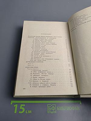 Державный плотник