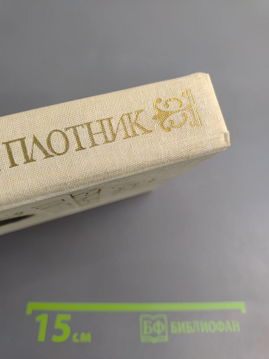 Державный плотник