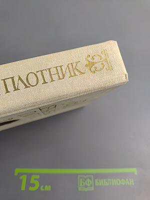 Державный плотник