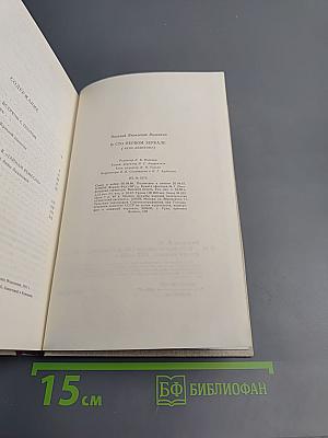 В сто первом зеркале