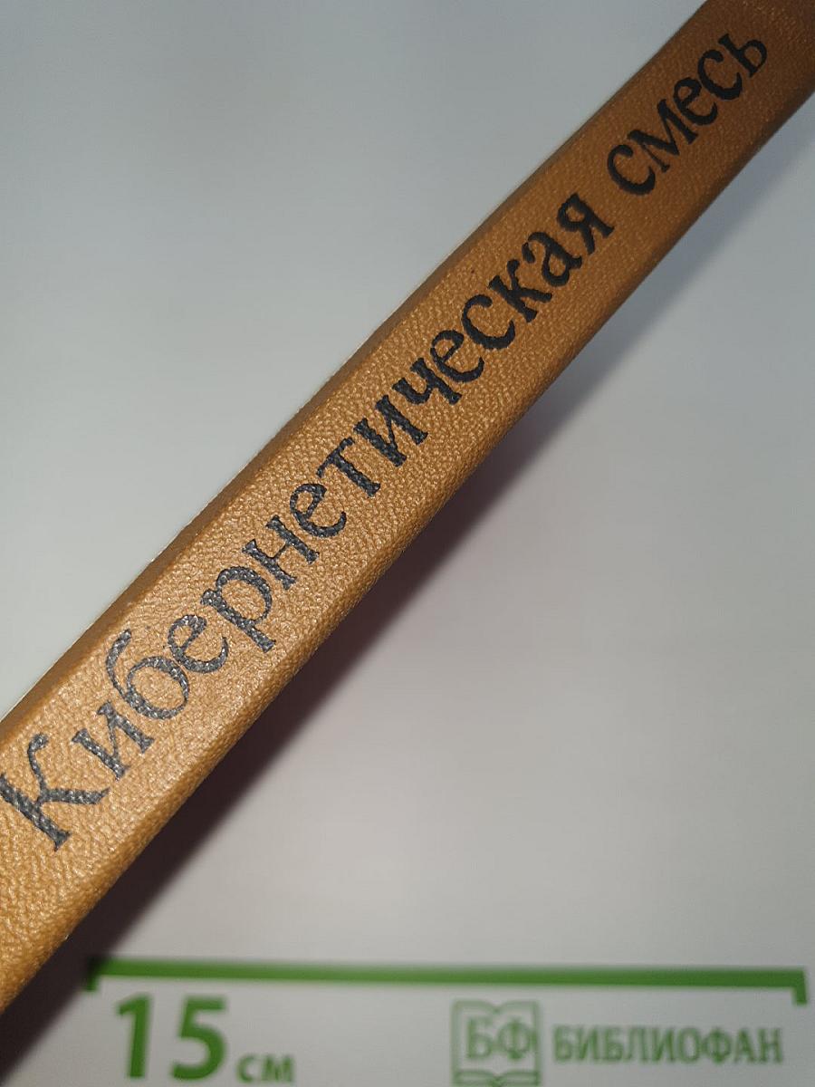 Кибернетическая смесь