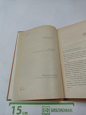 Комедия нимф Фьезоле. Амето. Фьяметта