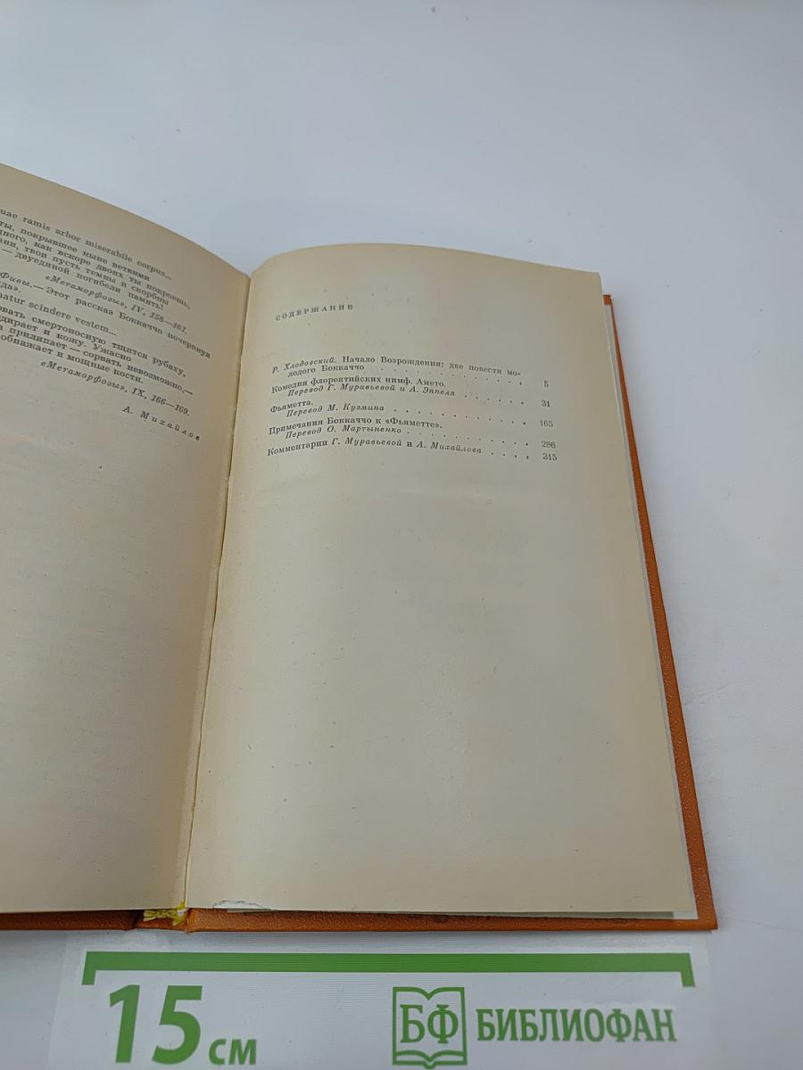 Комедия нимф Фьезоле. Амето. Фьяметта