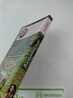 Жизненный план