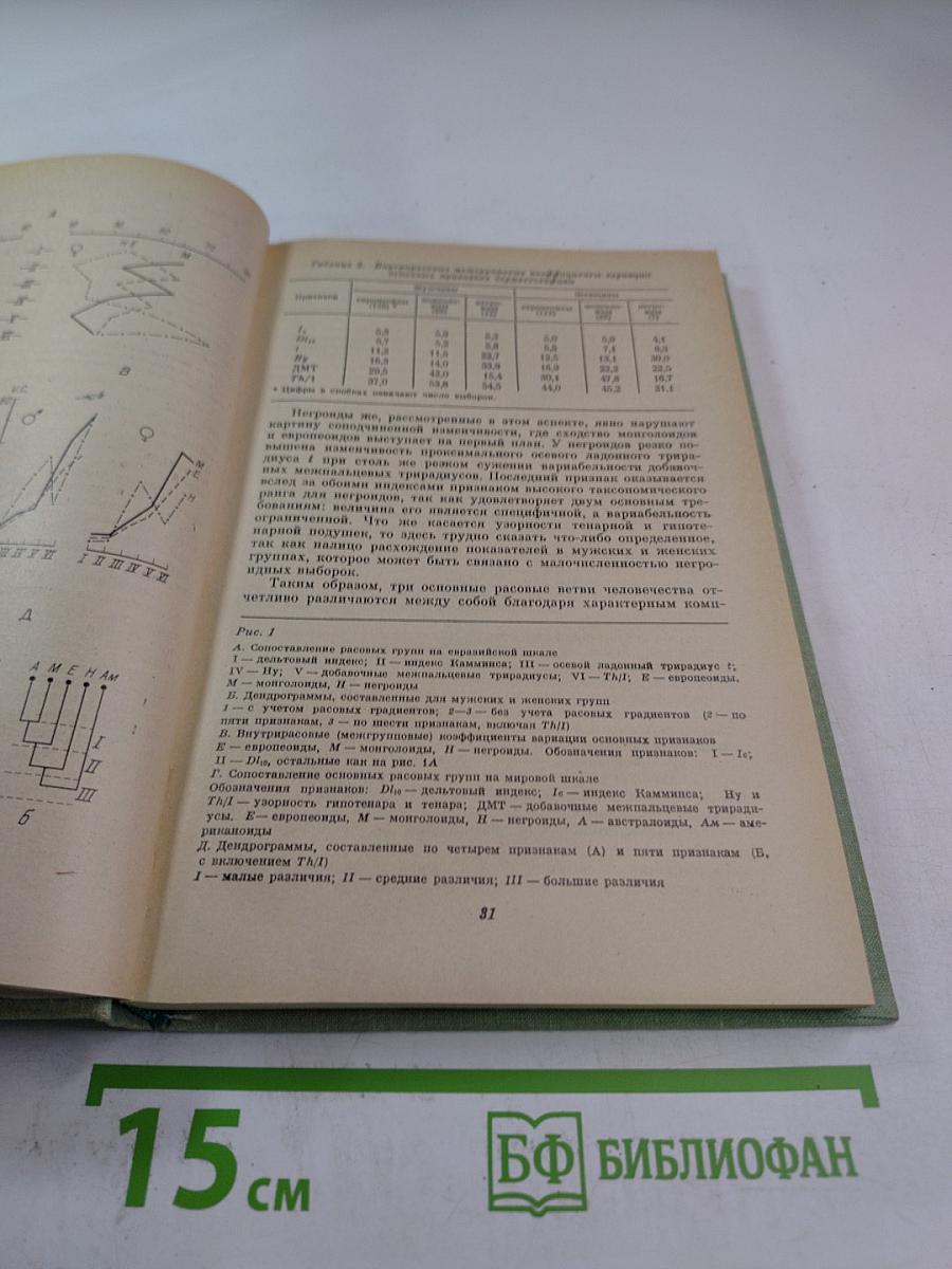 Расы и народы. Ежегодник. Выпуск 11. 1981