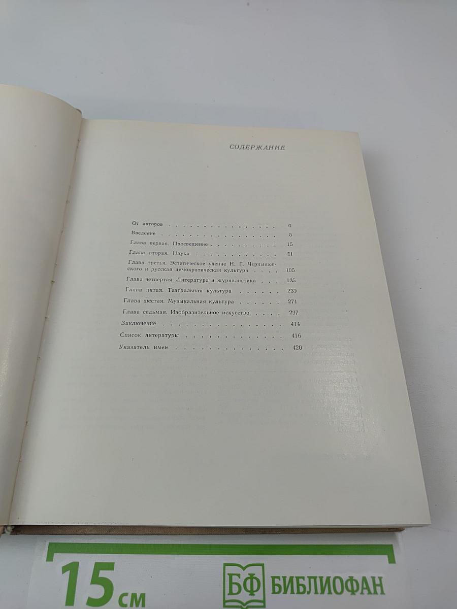 Очерки истории русской культуры второй половины XIX века