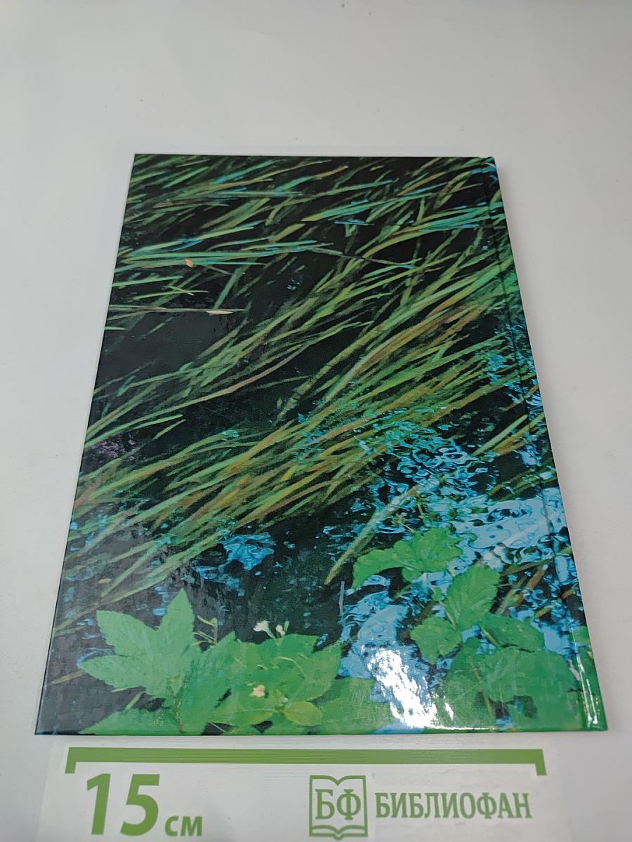 Живи, родник, живи