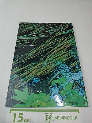 Живи, родник, живи